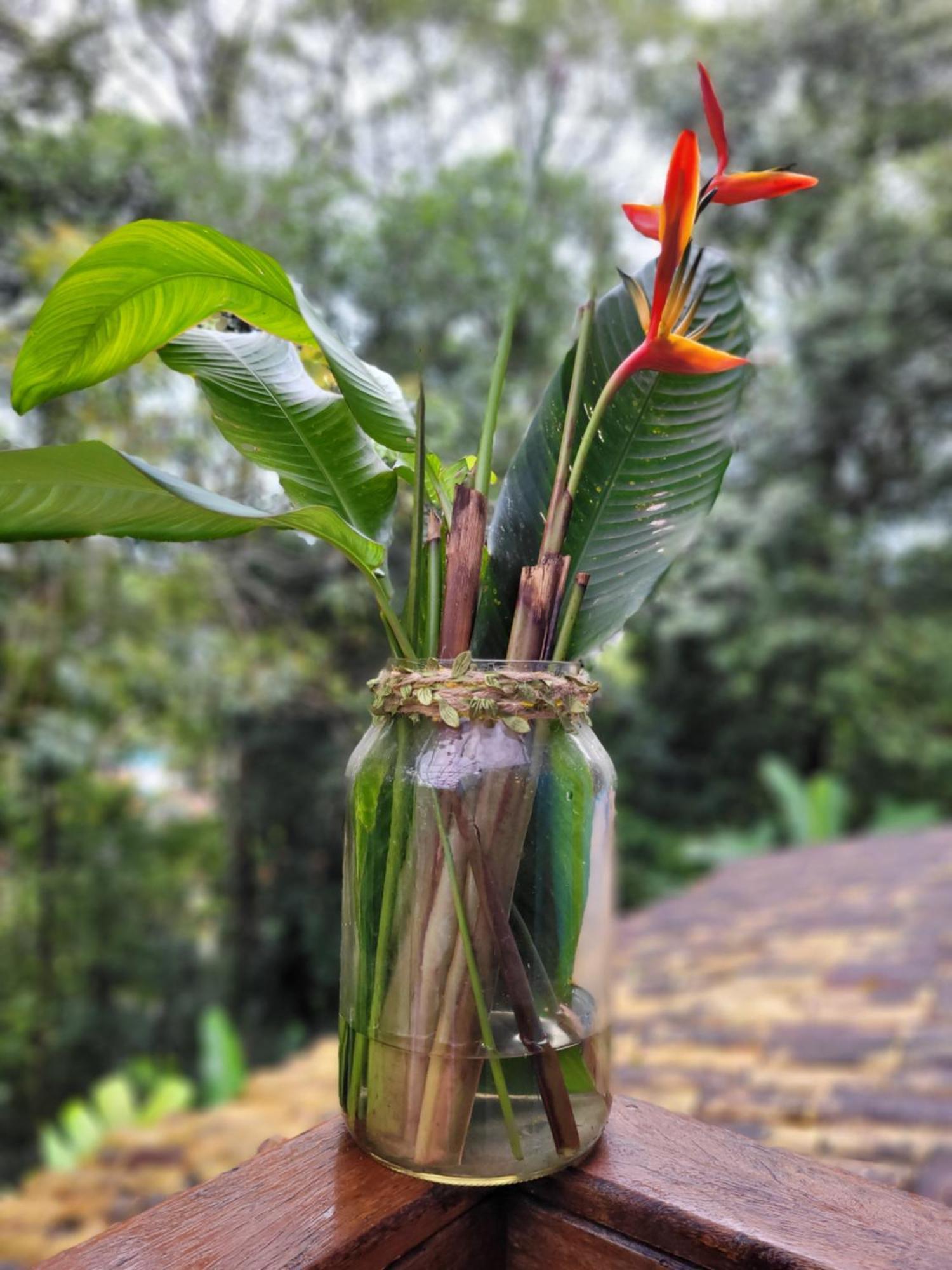 Estúdio aconchegante no litoral - Boiçucanga Esterno foto